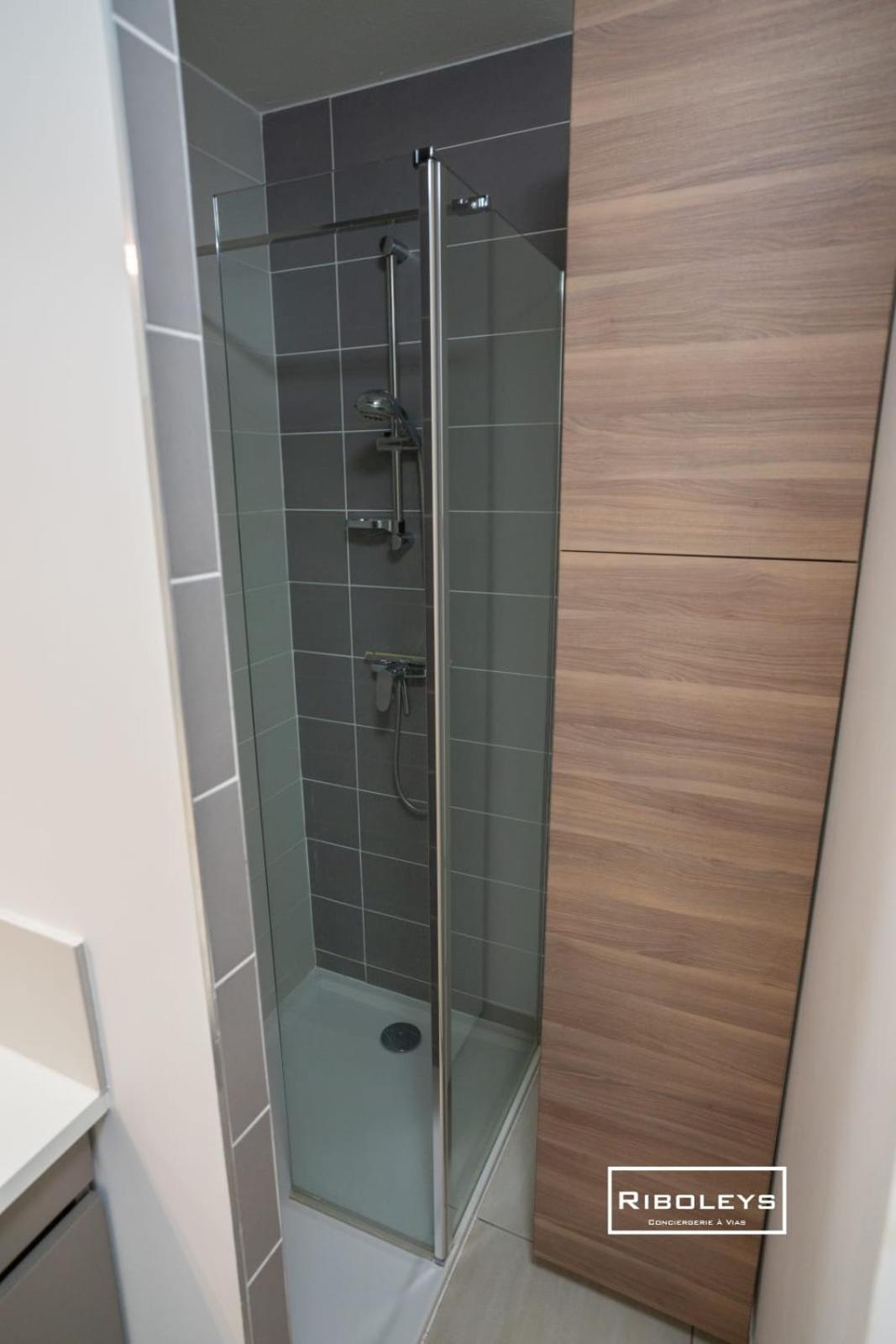ויאס T4 Climatise Avec Piscine A 400M De La Mer מראה חיצוני תמונה